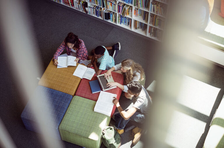 Formação - Grupo de jovens estudando em biblioteca