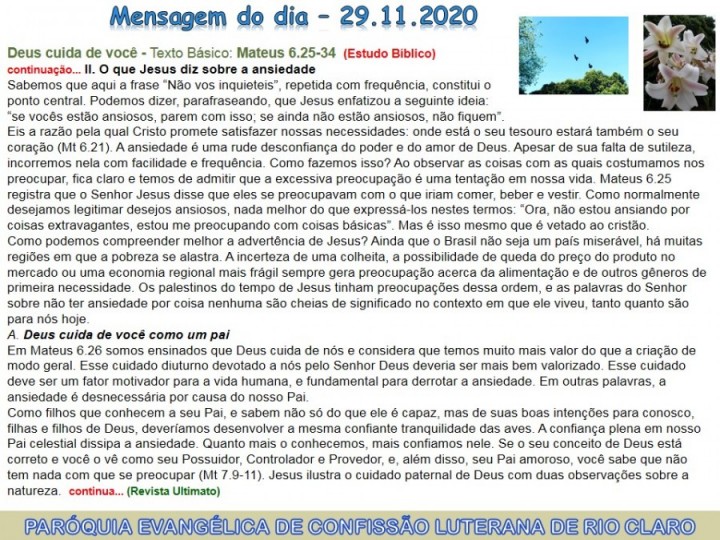 Mensagem do dia - 29.11.2020