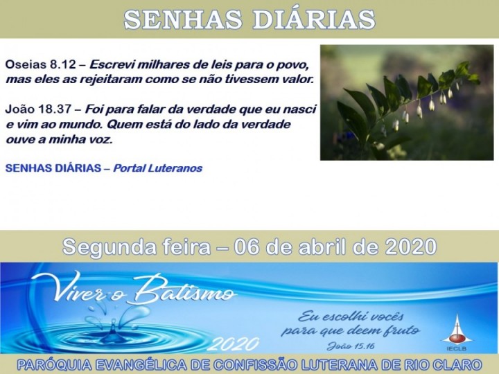 Senhas do dia - 06.04.2020