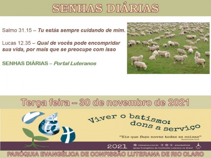 Senhas do dia - 30.11.2021