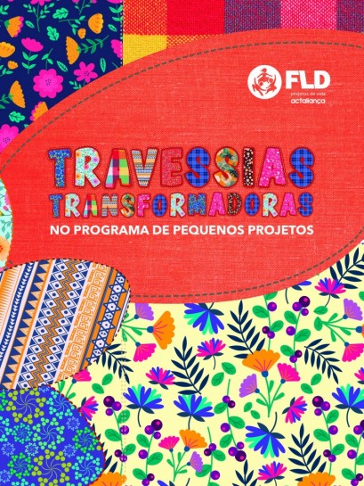 Travessias Transformadoras no Programa de Pequenos Projetos