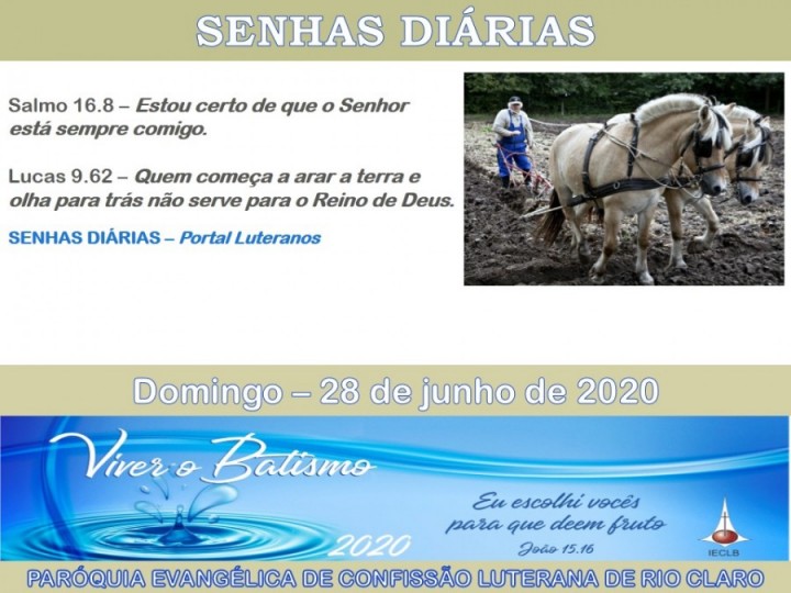 Senhas do dia - 28.06.2020