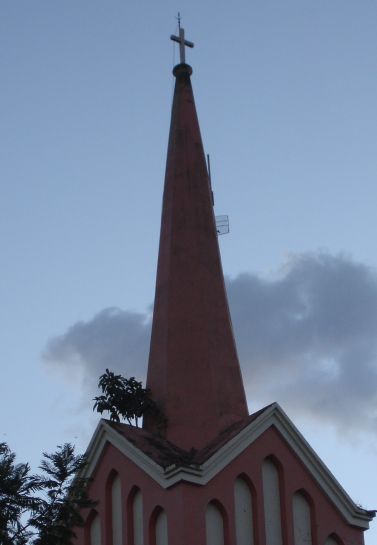 A figueira na torre da igreja