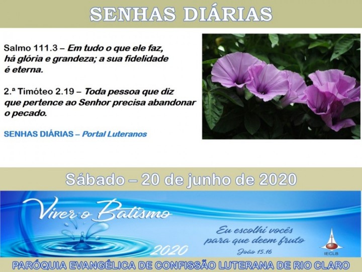 Senhas do dia - 20.06.2020