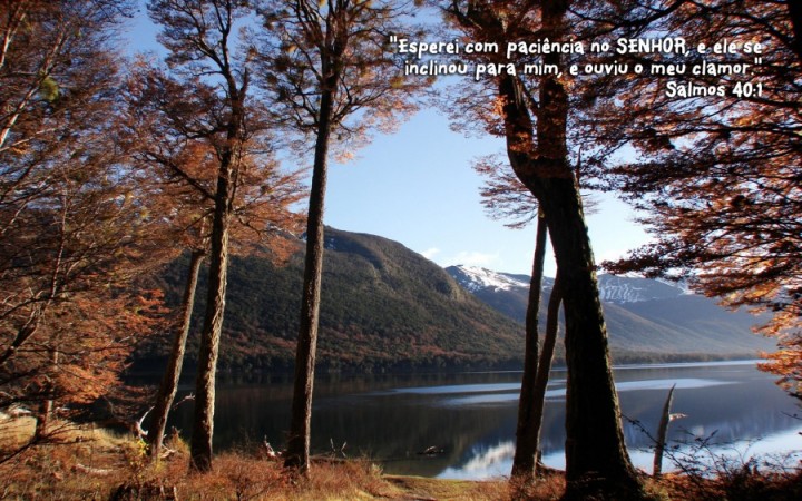 Meditação do Pastor Jonas Ronei Gunsch_Imagem