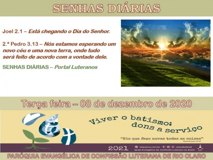 Senhas do dia - 08.12.2020