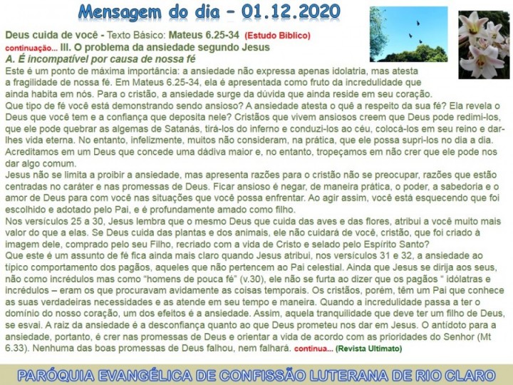 Mensagem do dia - 01.12.2020