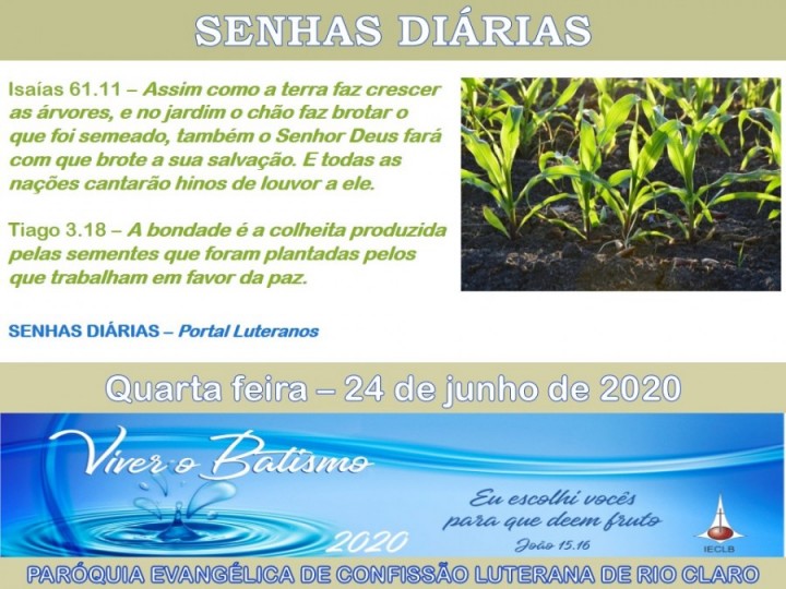 Senhas do dia - 24.06.2020