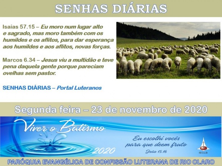 Senhas do dia - 23.11.2020