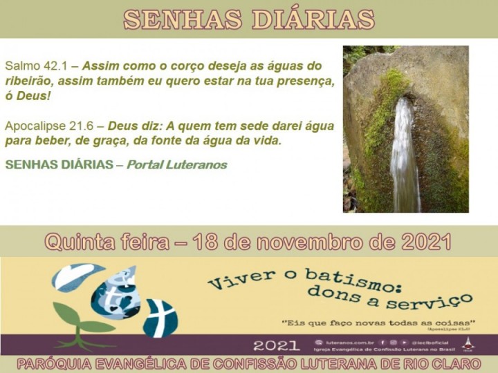 Senhas do dia - 18.11.2021