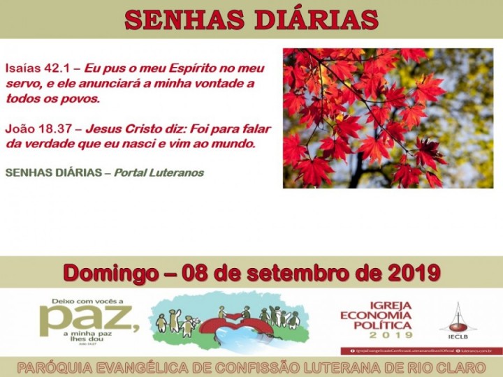 Senhas do dia - 08.09.2019