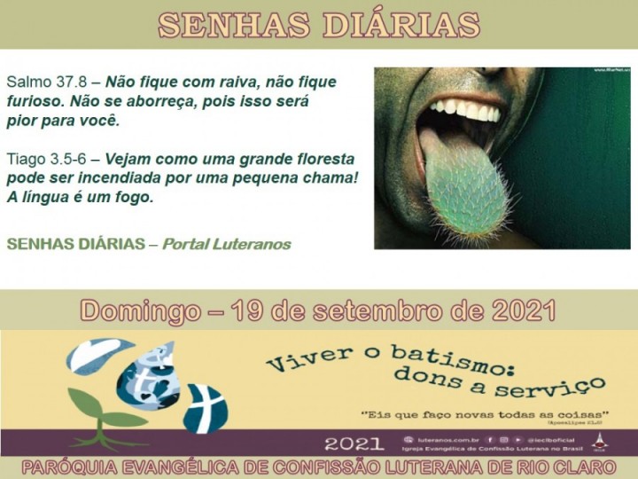 Senhas do dia - 19.09.2021