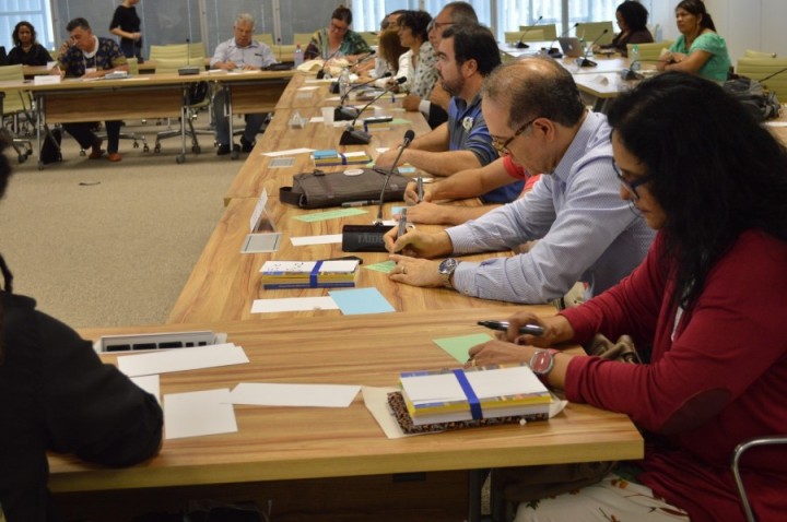 Reunião Conanda - Brasília - Fevereiro 2017