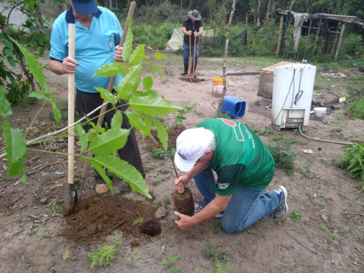 Plantio de árvores para compensação de CO@