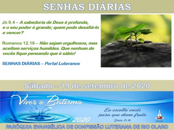 Senhas do dia - 19.09.2020