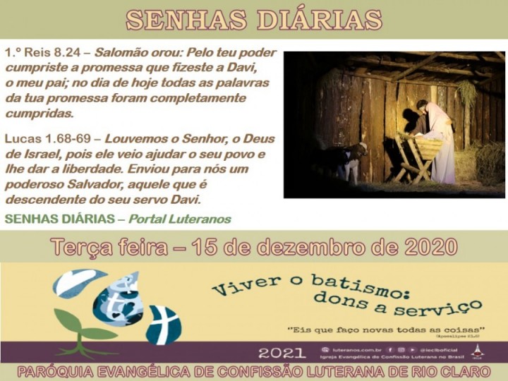 Senhas do dia - 15.12.2020