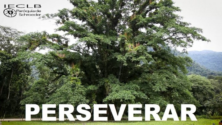 PERSEVERAR