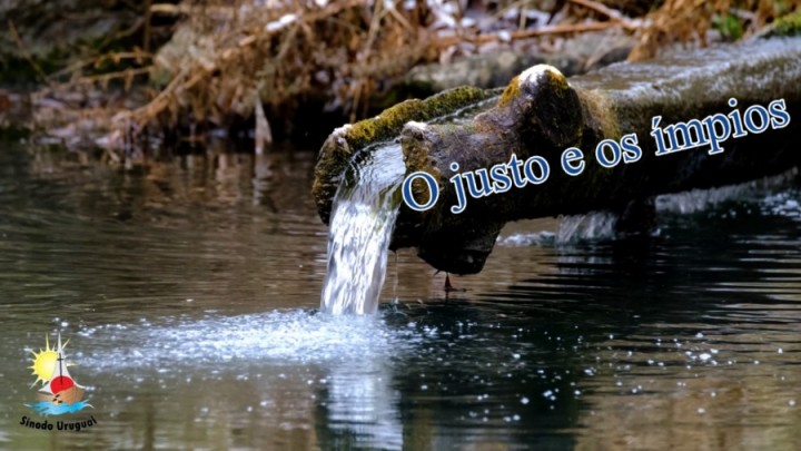 O Justo e os Ímpios.