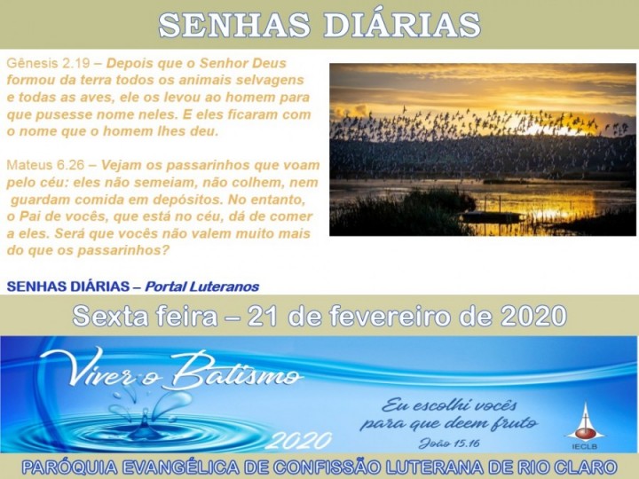 Senhas do dia - 21.02.2020