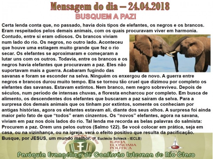 Mensagem do dia - 24.04.2018