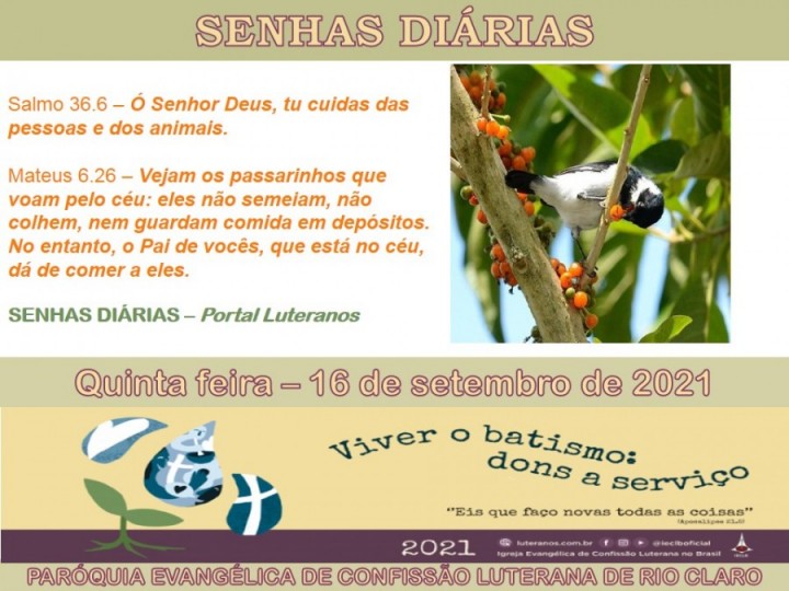 Senhas do dia - 16.09.2021