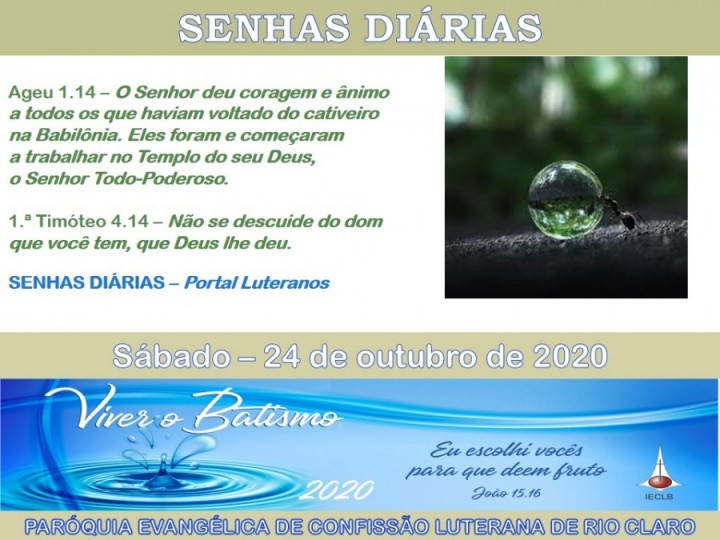 Senhas do dia - 24.10.2020