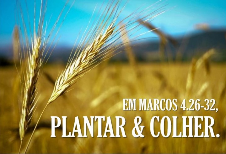 Plantar&Colher