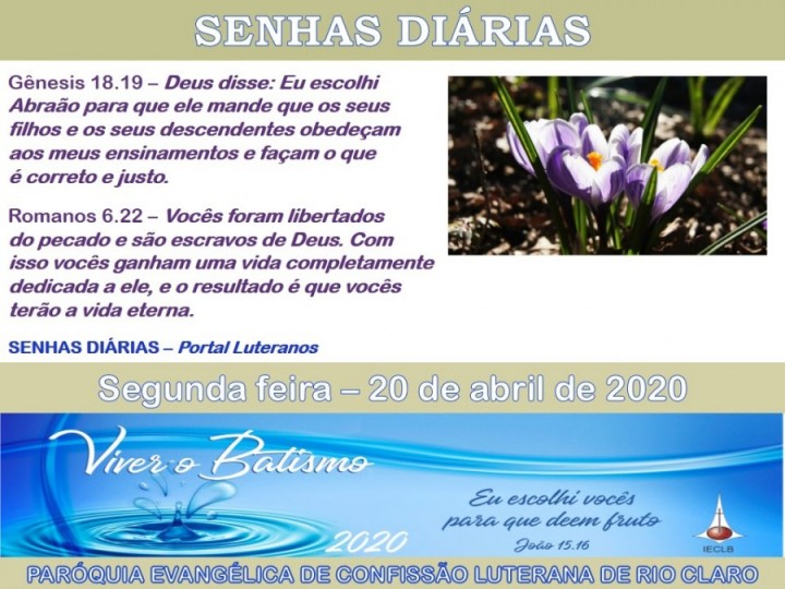 Senhas do dia - 20.04.2020