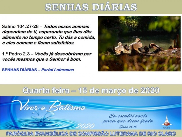 Senhas do dia - 18.03.2020