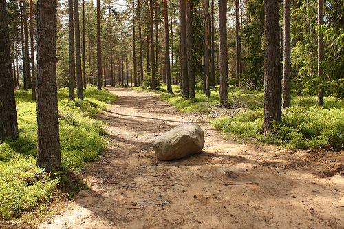 Pedra no caminho