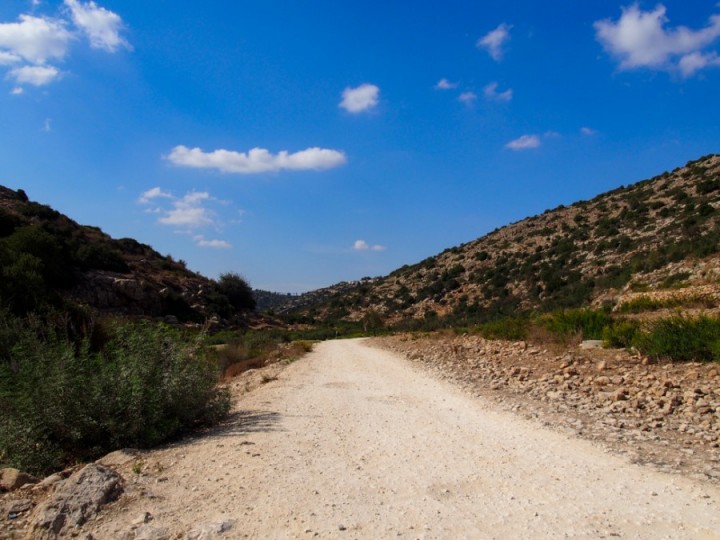 palestine-wadi-qana-road