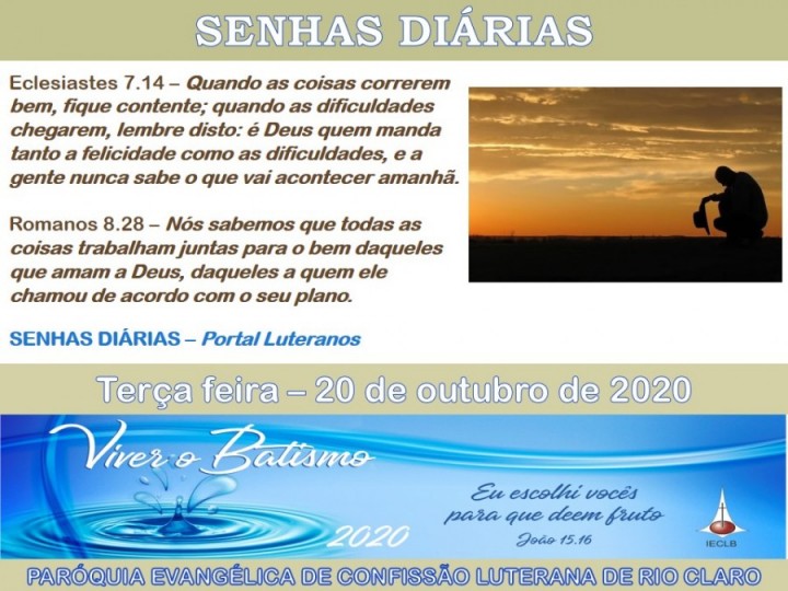 Senhas do dia - 20.10.2020