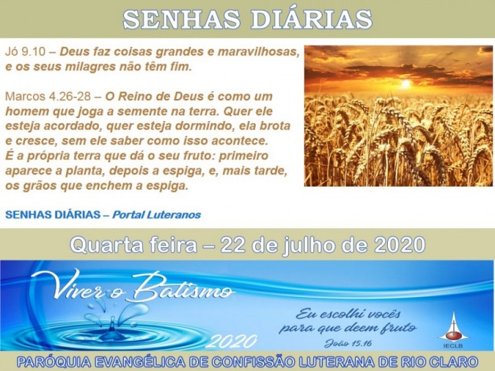 Senhas do dia - 22.07.2020