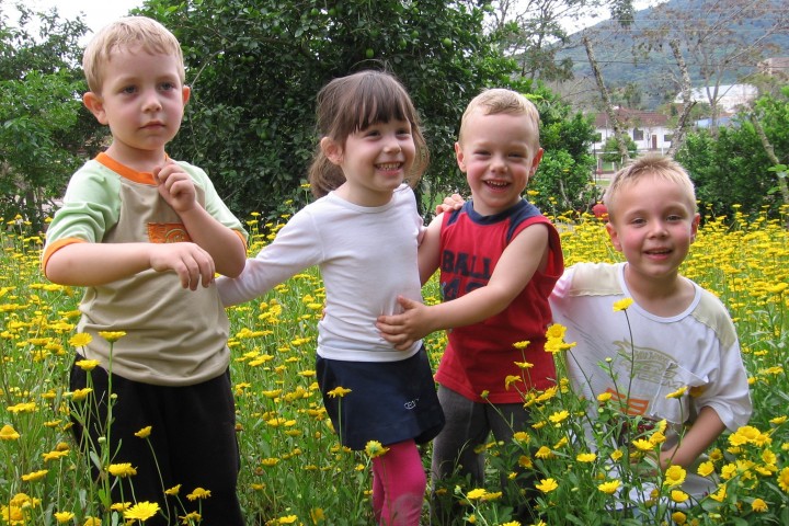 Os seres humanos são como a erva do campo e toda a sua força é como a de uma flor do mato. A erva seca