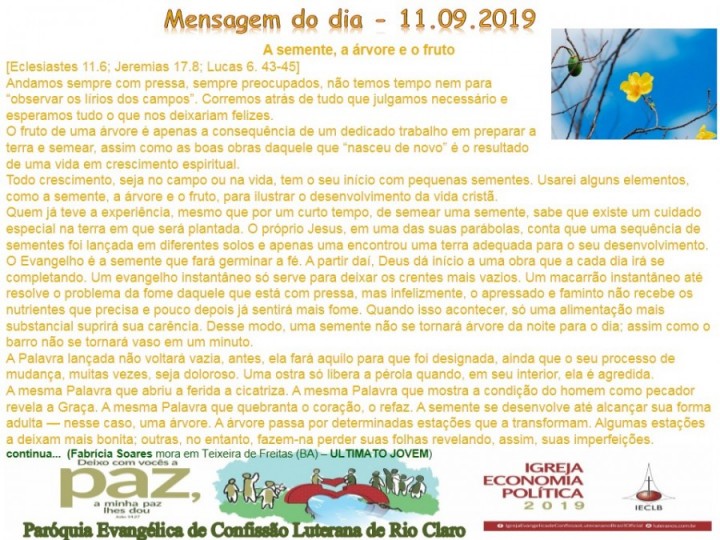 Mensagem do dia - 11.09.2019