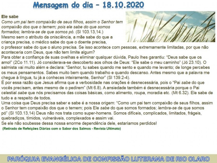 Mensagem do dia - 18.10.2020