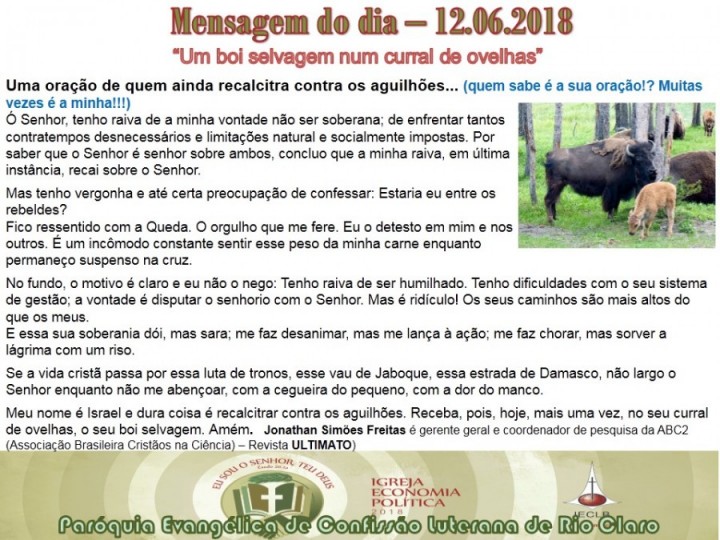 Mensagem do dia - 12.06.2018