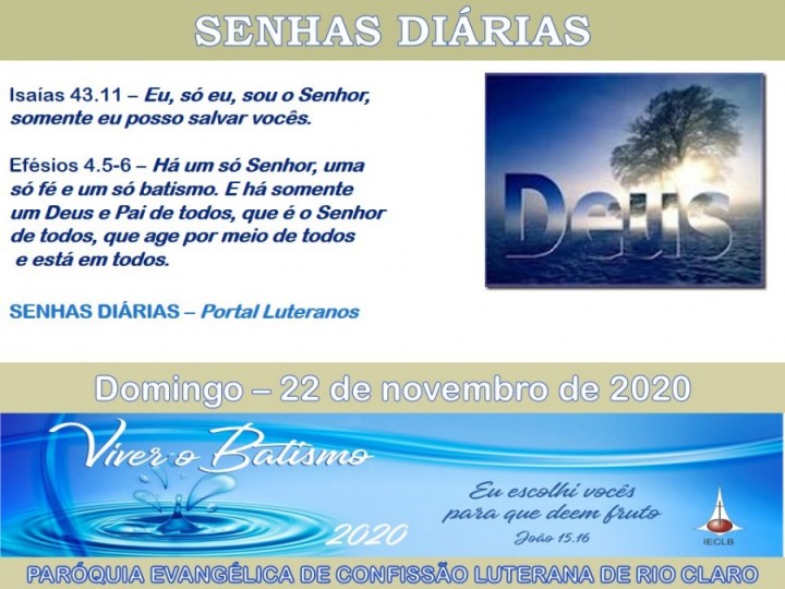 Senhas do dia - 22.11.2020