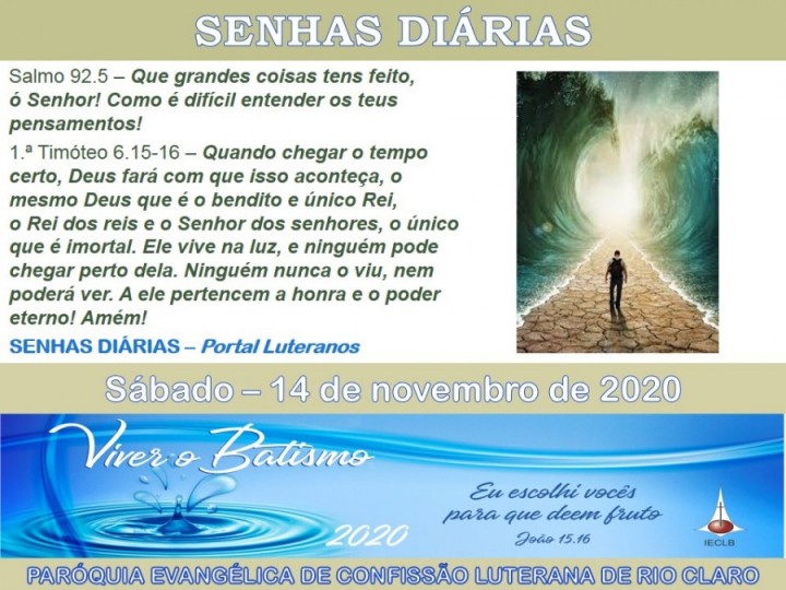 Senhas do dia - 14.11.2020