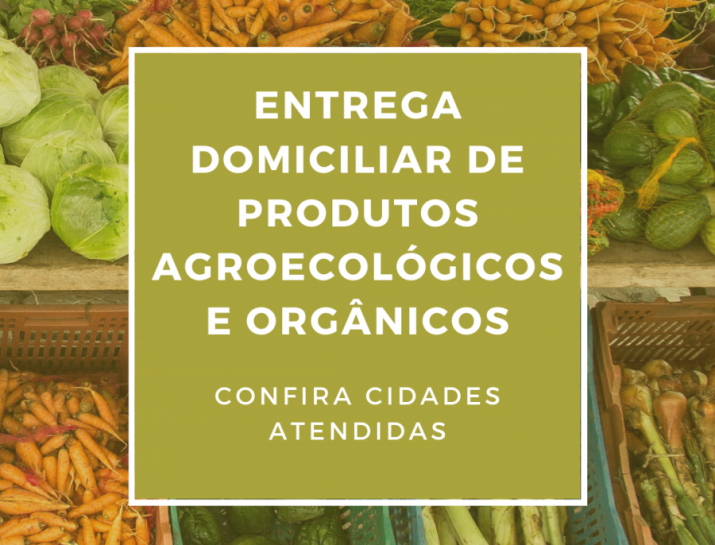 ENTREGA DOMICILIAR DE PRODUTOS ORGÂNICOS