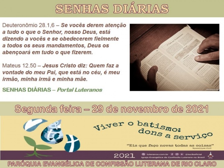 Senhas do dia - 29.11.2021