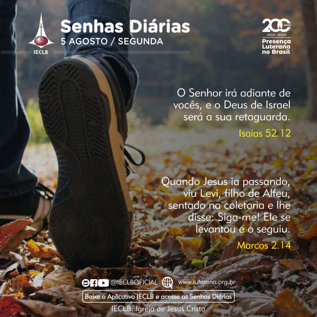 Senhas Diárias - 05 08 2024