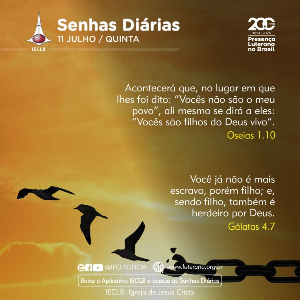 Senhas Diárias 11 07 2024