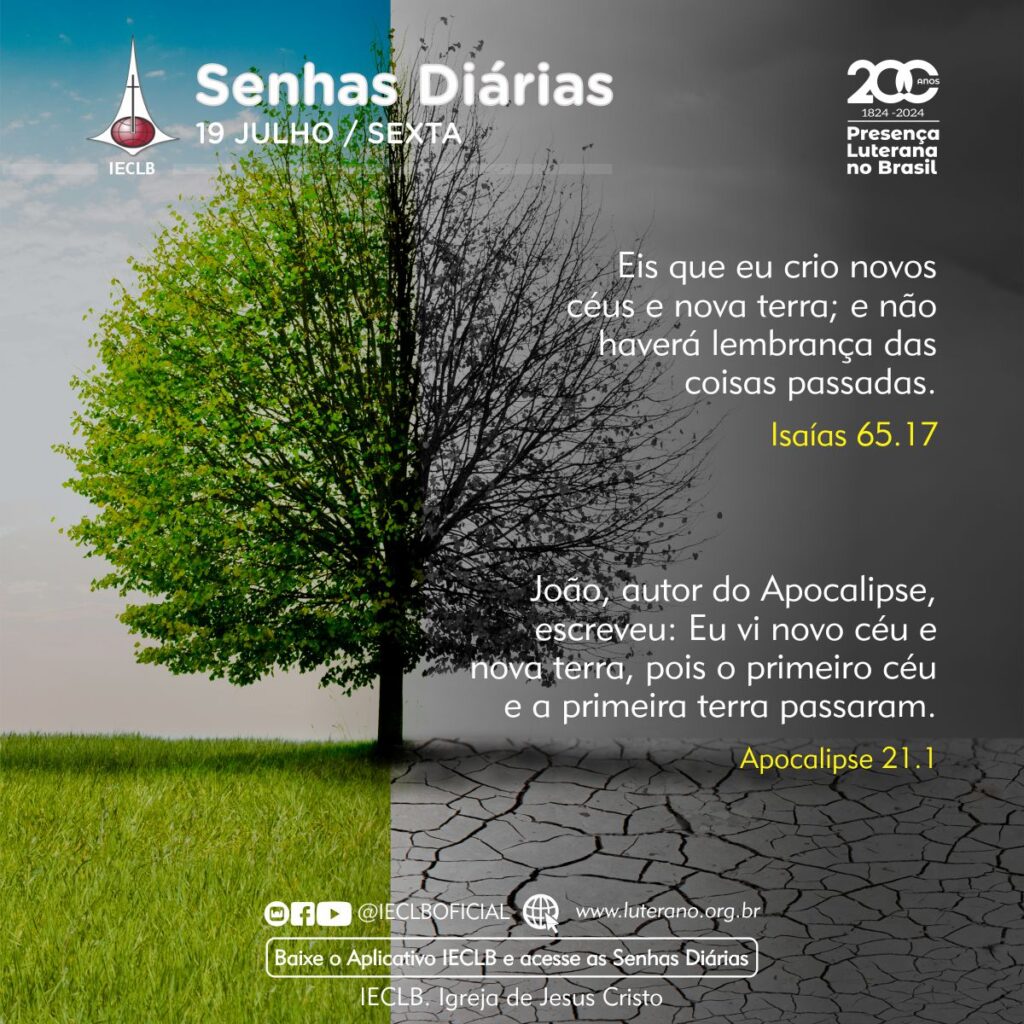 Senhas Diárias 19 07 2024