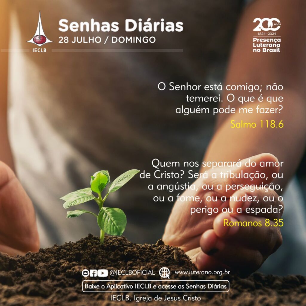 Senhas Diárias 28 07 2024