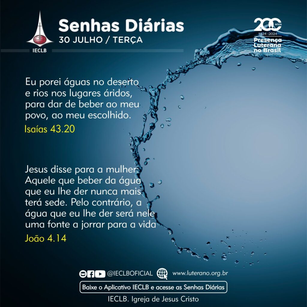 Senhas Diárias 30 07 2024