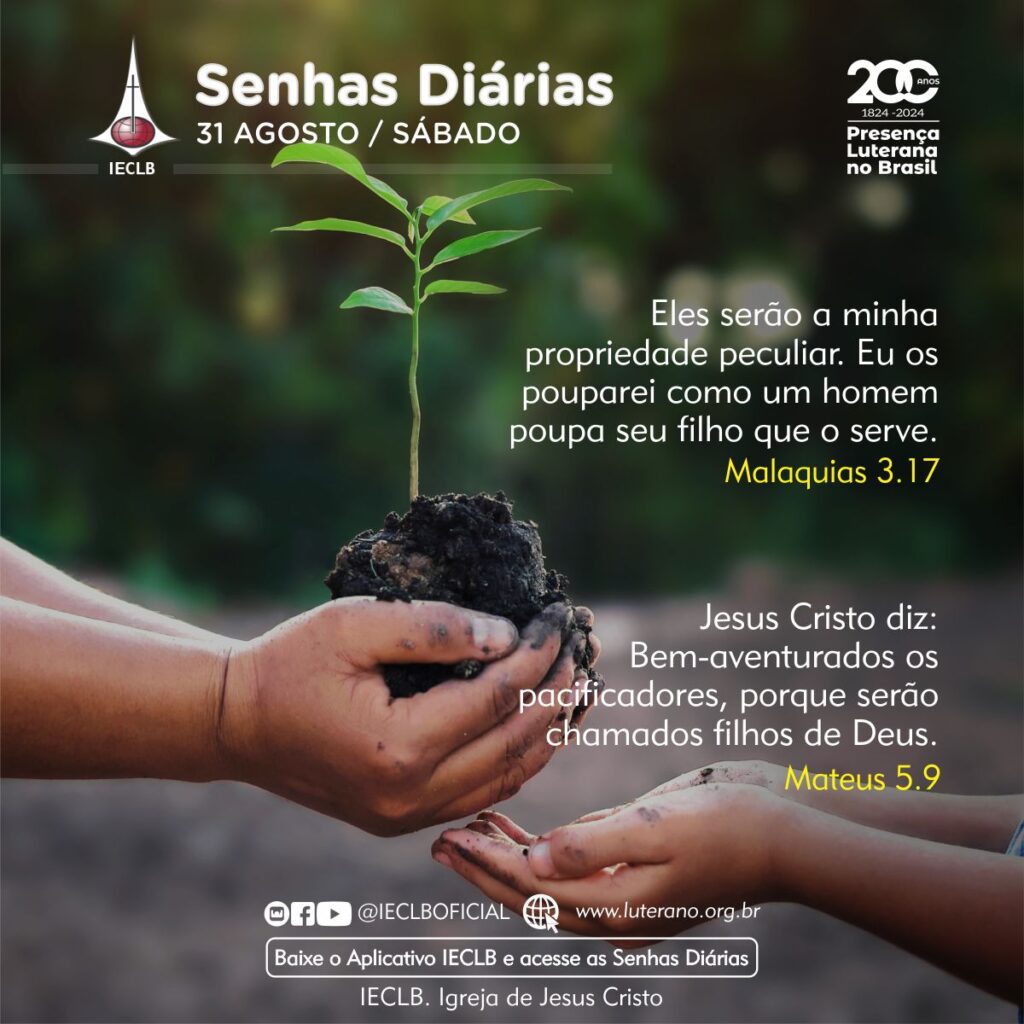 Senhas Diárias - 31 08 2024