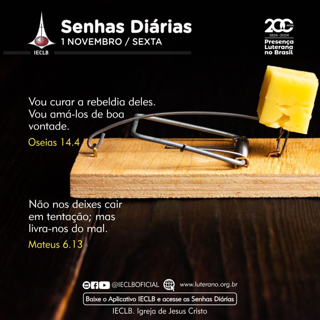 Senhas Diárias - 01 11 2024