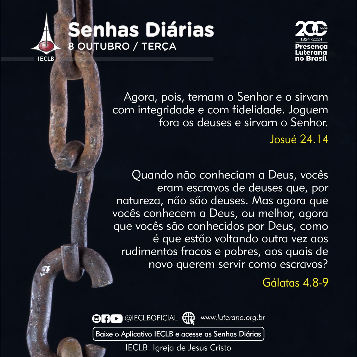 Senhas Diárias - 08 10 2024