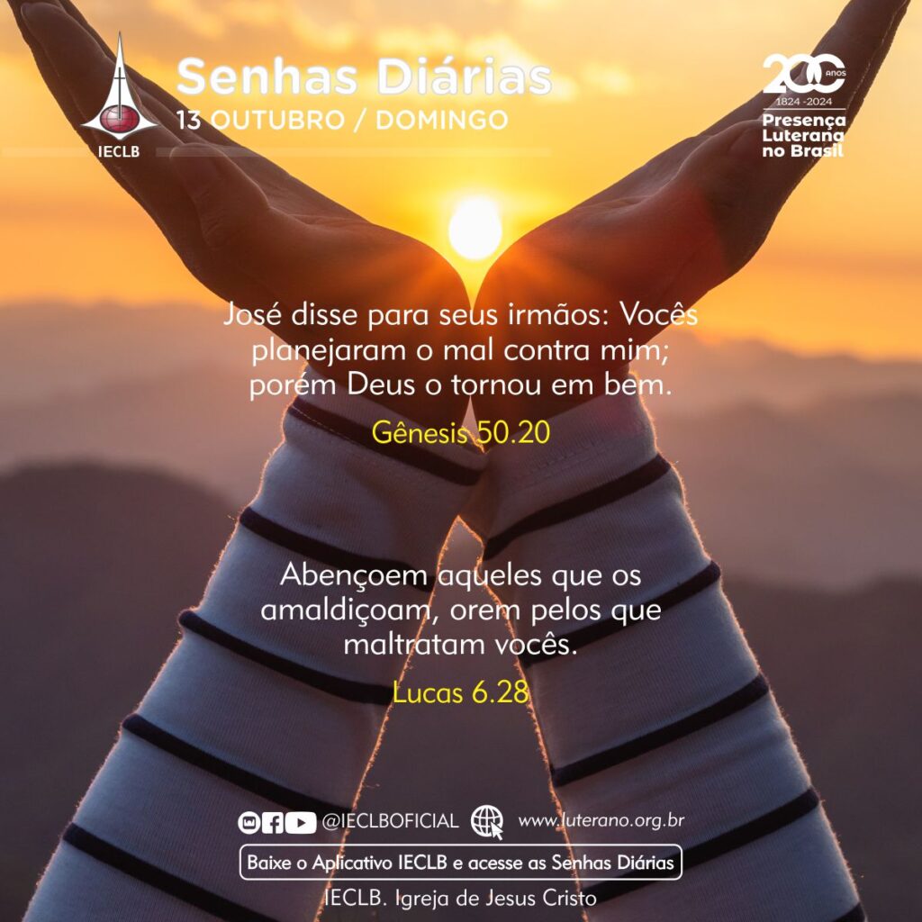 Senhas Diárias - 13 10 2024